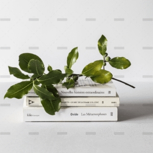 demo-attachment-1930-david-van-dijk-3LTht2nxd34-unsplash