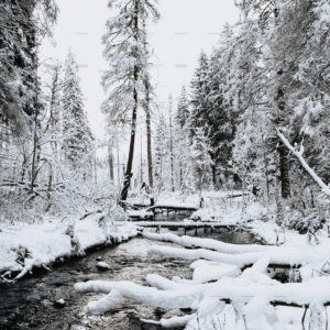 demo-attachment-1932-kristaps-ungurs-zf3gwt5Rod0-unsplash-scaled